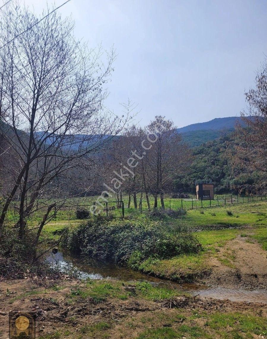 Dolunay Emlak'tan Erdek İlhan Köyünde Satılık Bahçe - Görsel 3
