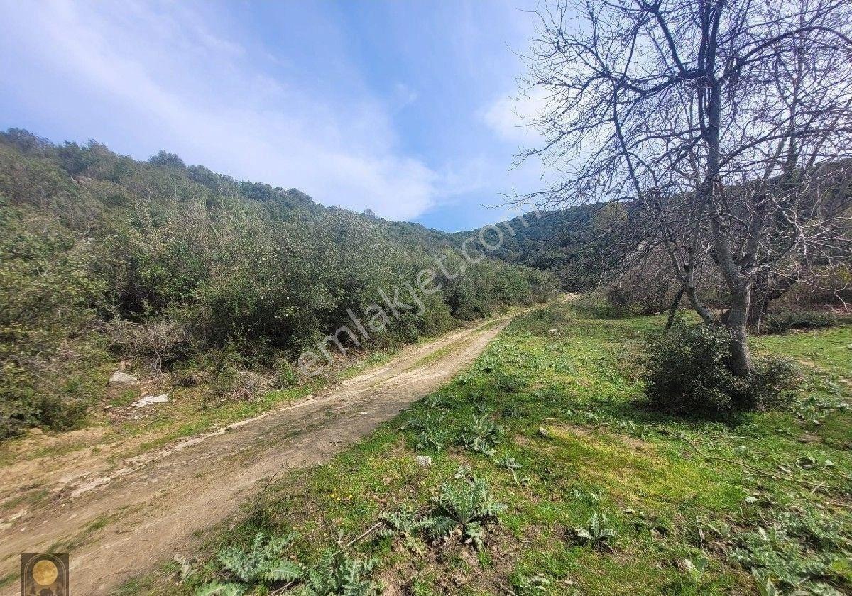 Dolunay Emlak'tan Erdek İlhan Köyünde Satılık Bahçe