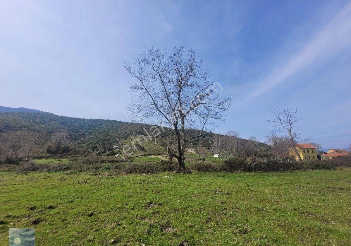 Dolunay Emlaktan Erdek İlhan Köyünde Denize Yakın Satılık Tarla - Görsel 7