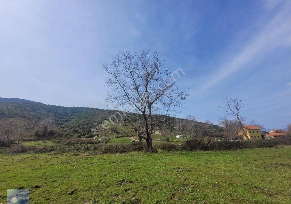 Dolunay Emlaktan Erdek İlhan Köyünde Denize Yakın Satılık Tarla - Görsel 2