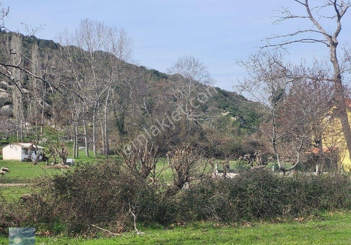 Dolunay Emlaktan Erdek İlhan Köyünde Denize Yakın Satılık Tarla - Görsel 8