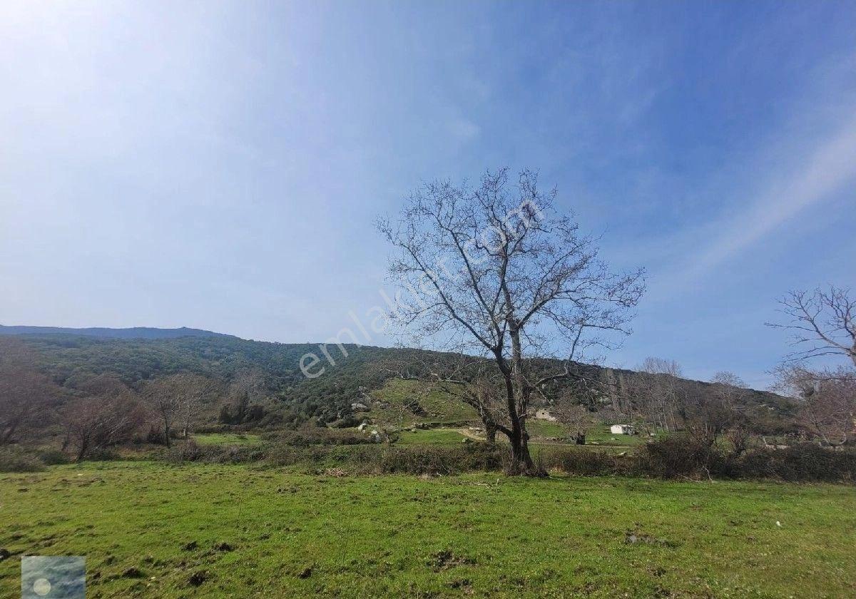 Dolunay Emlaktan Erdek İlhan Köyünde Denize Yakın Satılık Tarla - Görsel 11