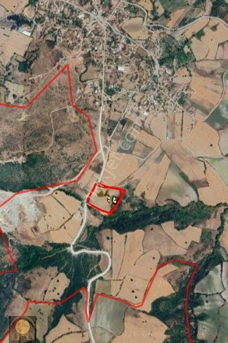 Dolunay Emlak'tan Susurluk İlçesinde Yatırıma Ve Tarıma Uygun Satılık Tarla - Görsel 2