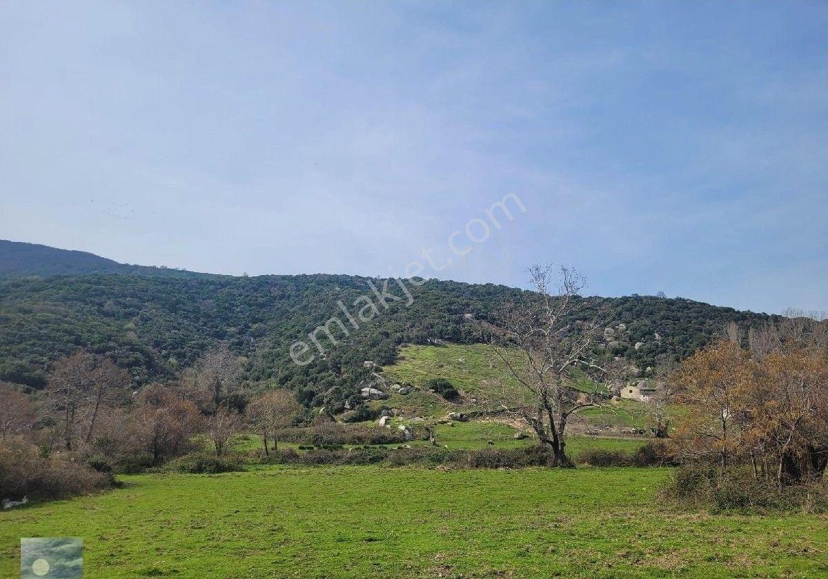 Dolunay Emlaktan Erdek İlhan Köyünde Denize Yakın Satılık Tarla - Görsel 14