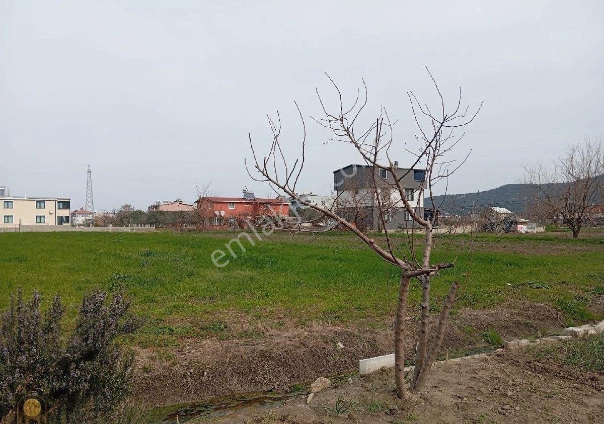 Dolunay Emlak'tan Erdek Turan Köyünde Denize Yakın Satılık Tarla - Görsel 3