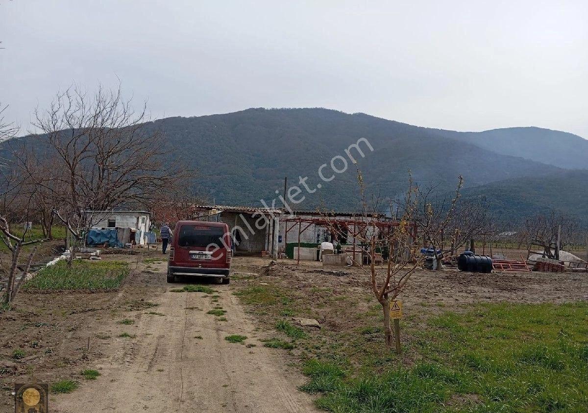 Dolunay Emlak'tan Erdek Turan Köyünde Denize Yakın Satılık Tarla - Görsel 4