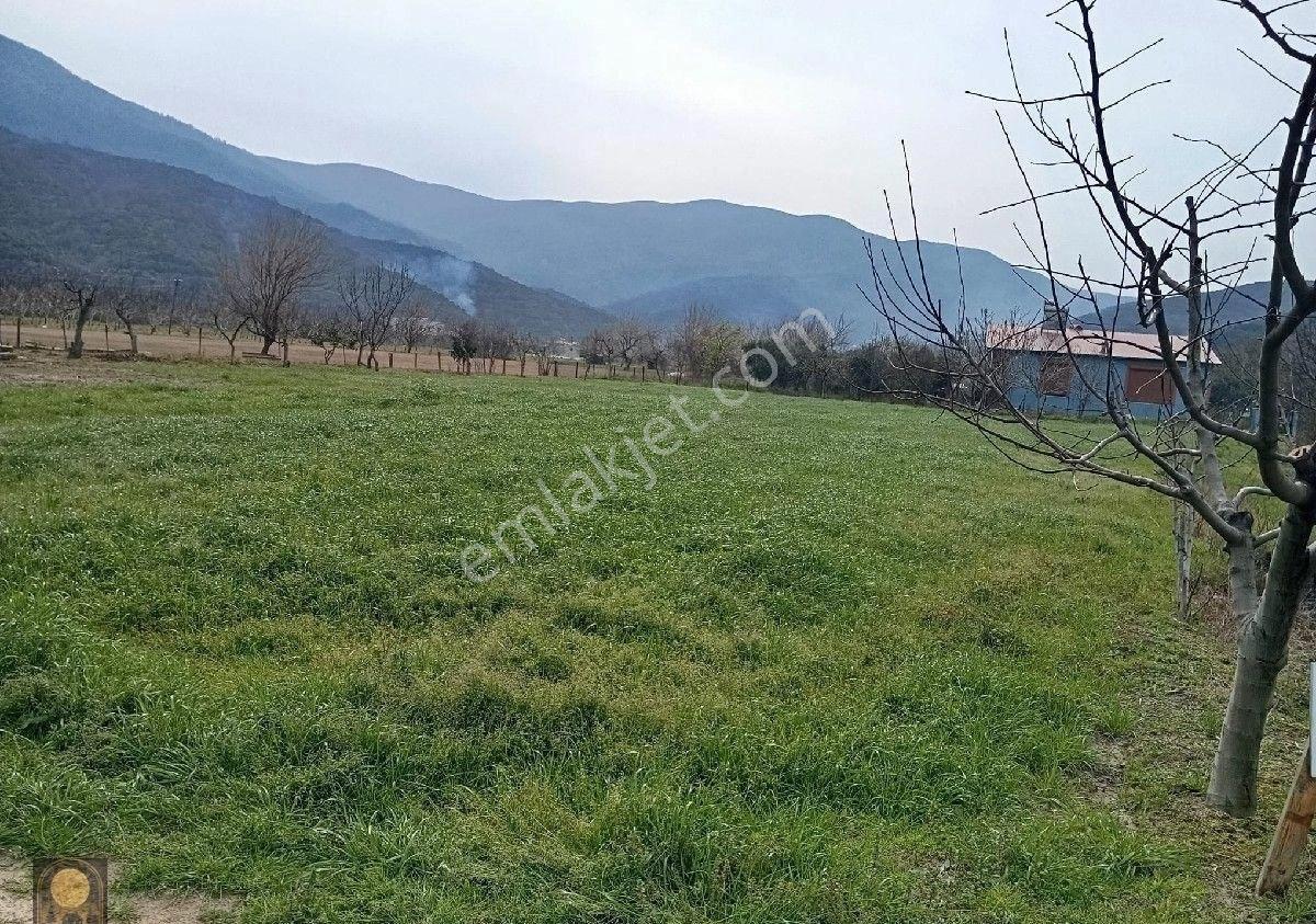 Dolunay Emlak'tan Erdek Turan Köyünde Denize Yakın Satılık Tarla - Görsel 7