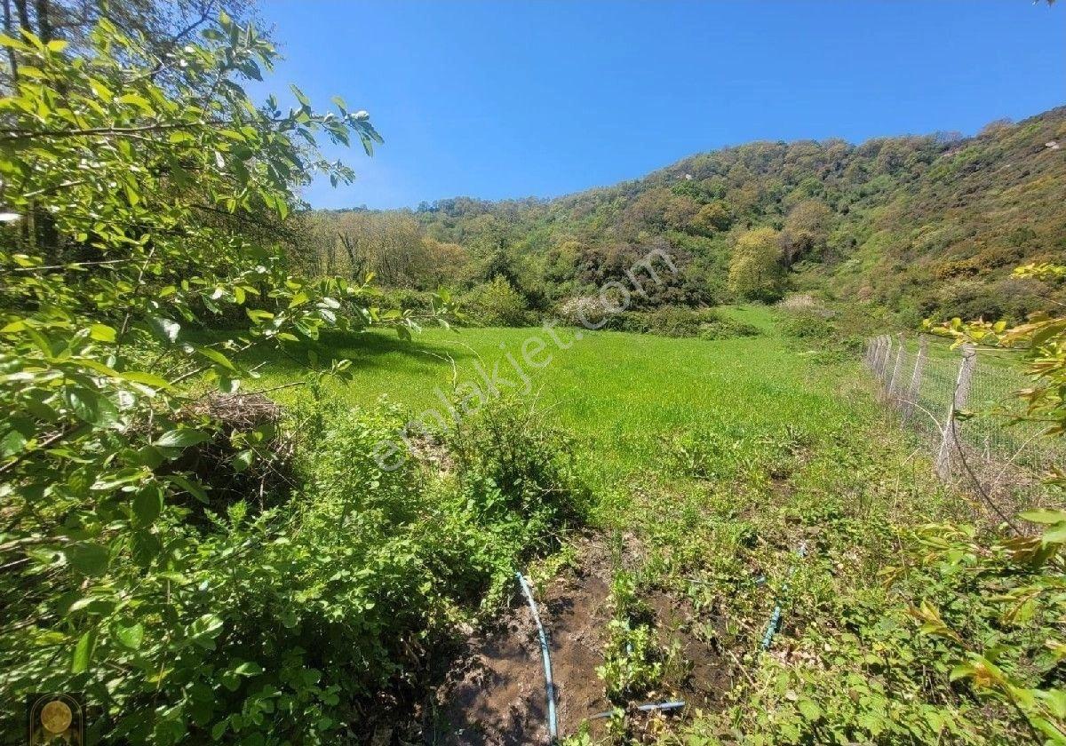 Dolunay Emlak'tan Erdek Şahinburgaz Köyünde Satılık Tarla - Görsel 7