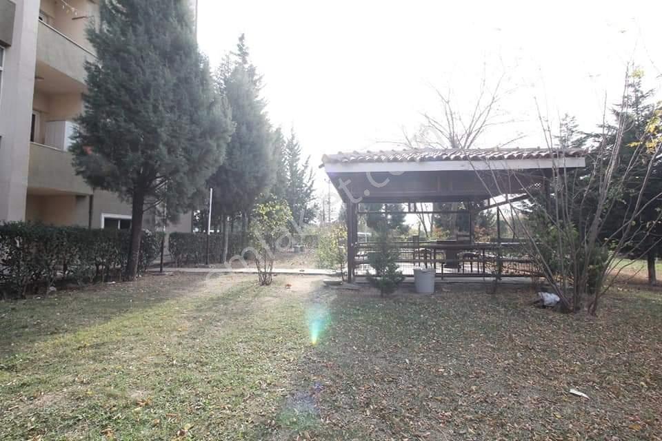 Belediye Konutları Adliye Yanı Satılık 3+1 Ara Kat Ferah Daire - Görsel 10