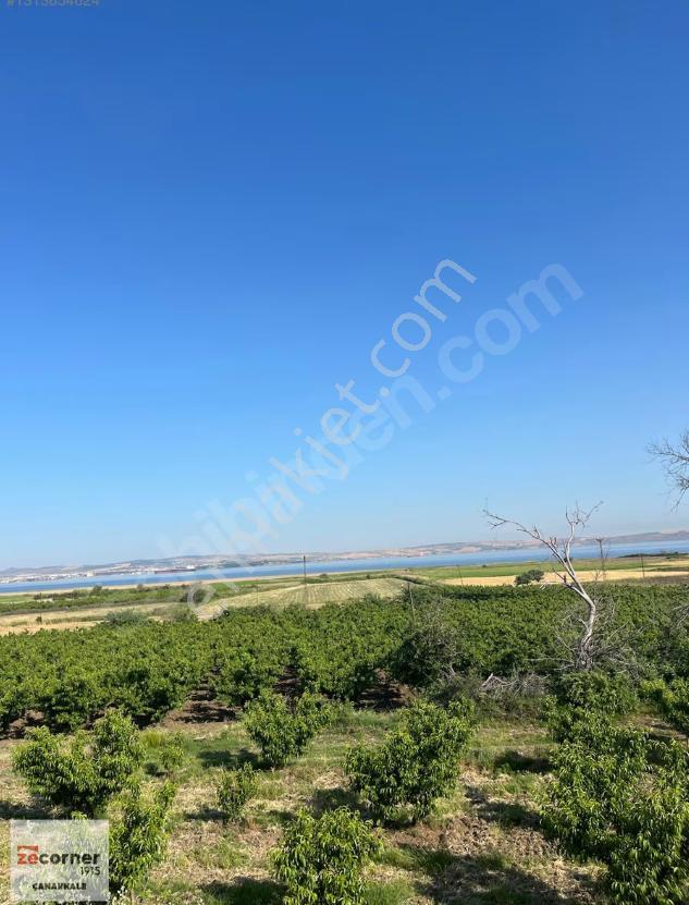 Çanakkale Lapseki Çardak Denize 140 M Satılık 9410 M2 Tarla - Görsel 11