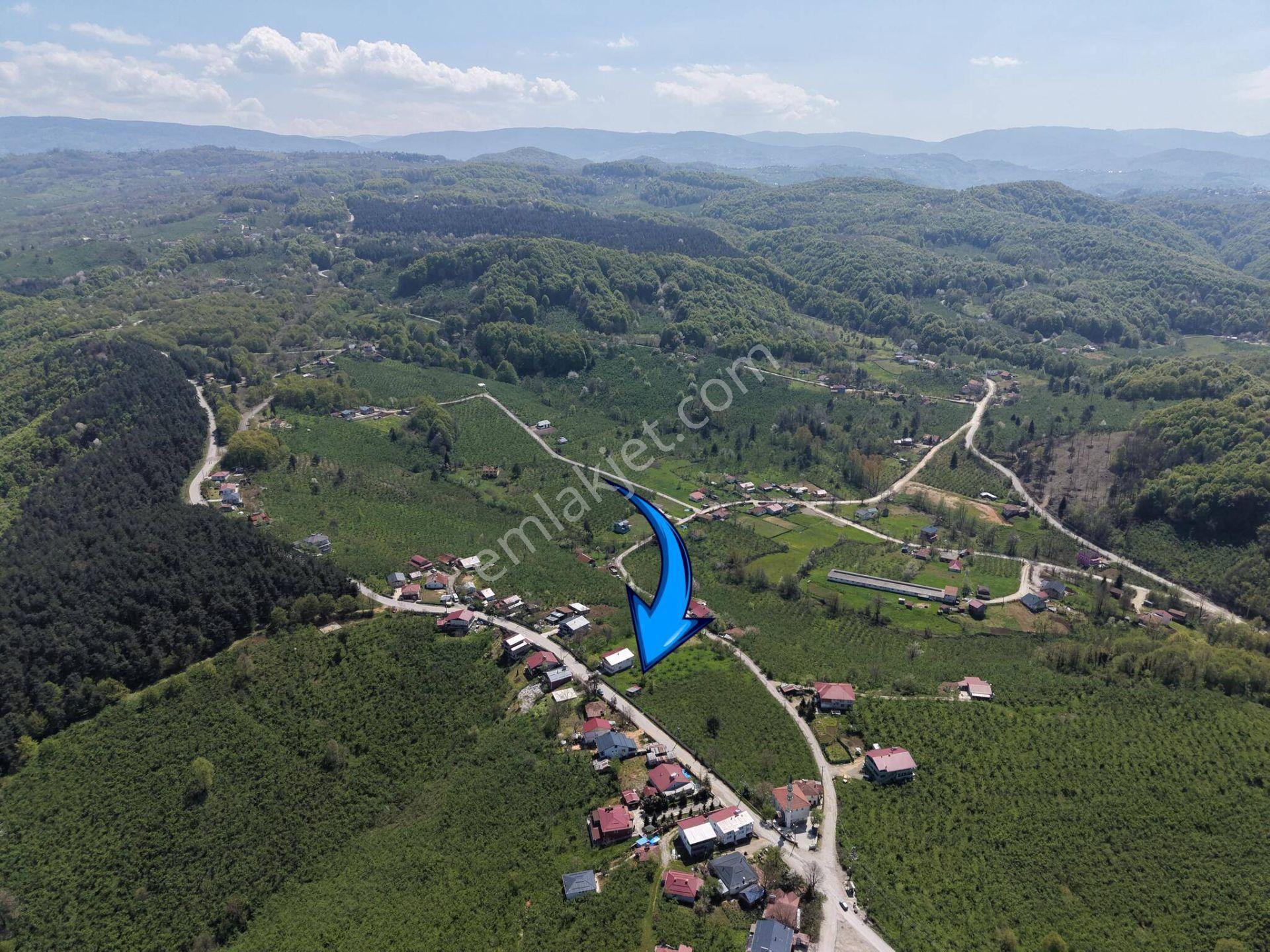 Kaynaşlı Eskiköy’de 1099 M² Satılık İmarlı Arsa - Görsel 19