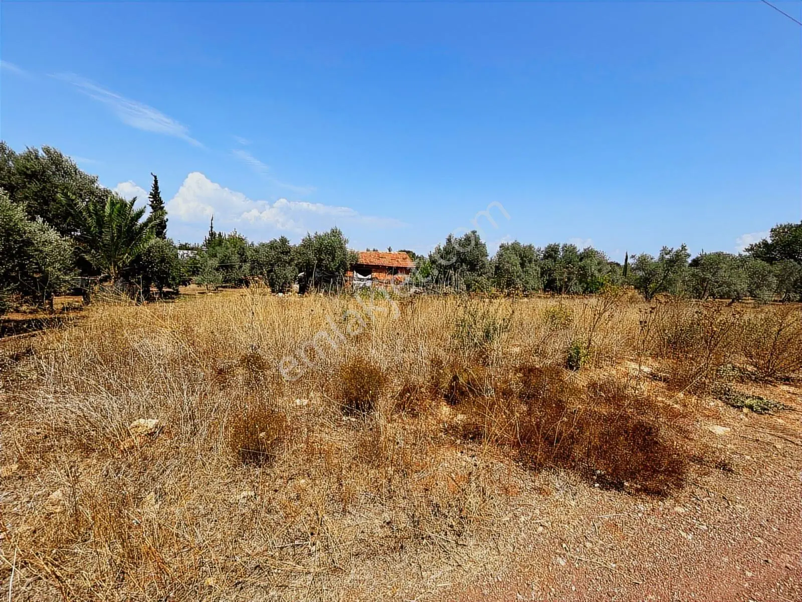 Dösemealtı Çıplaklı 301 M2 Villa İmarlı Elektrik Su Yolu Var