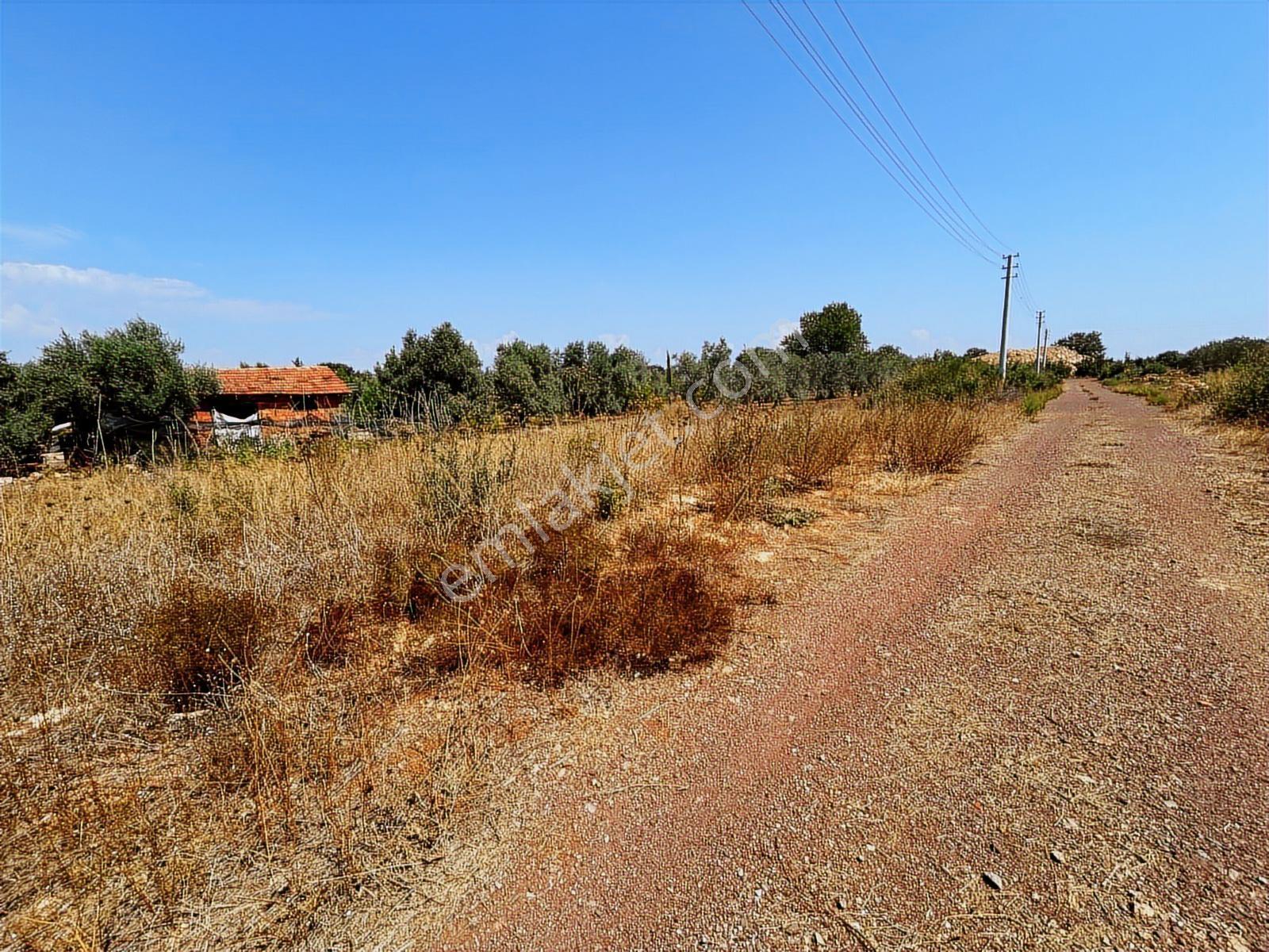 Dösemealtı Çıplaklı 301 M2 Villa İmarlı Elektrik Su Yolu Var - Görsel 2