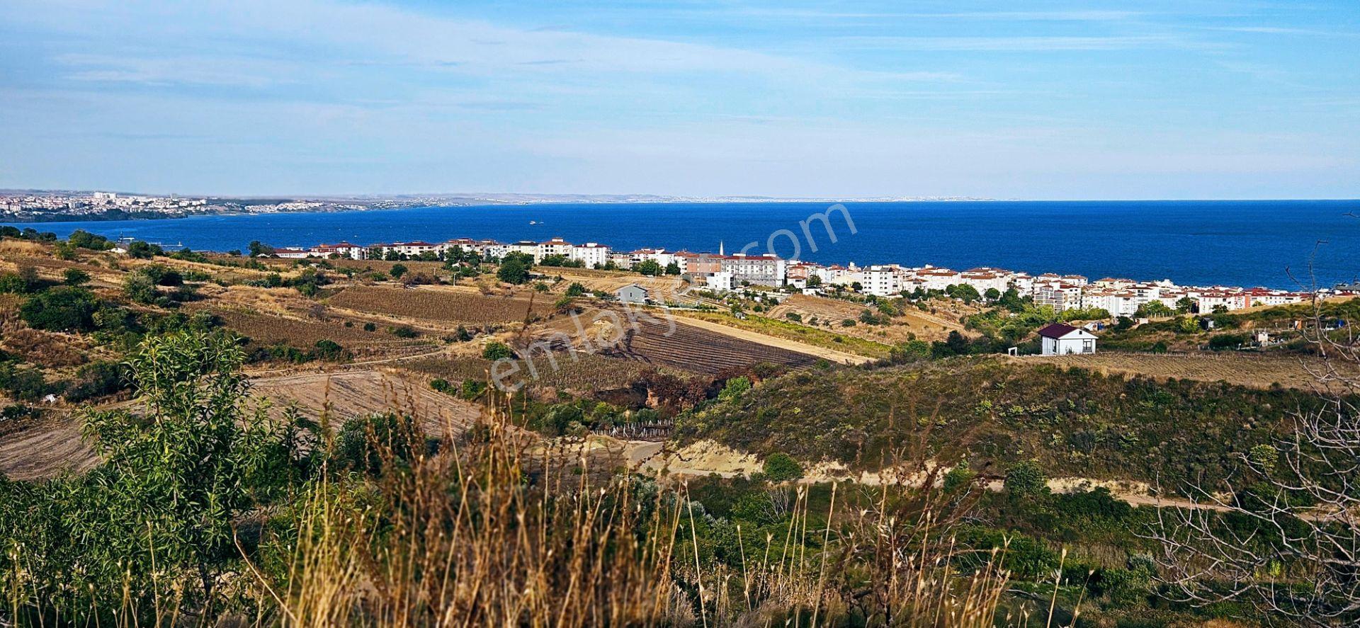 Tekirdağ Topağaç Mahallesinde Full Deniz Doğa Ve Şehir Manzaralı 1.150 M2 Villa İmarlı Yer - Görsel 22