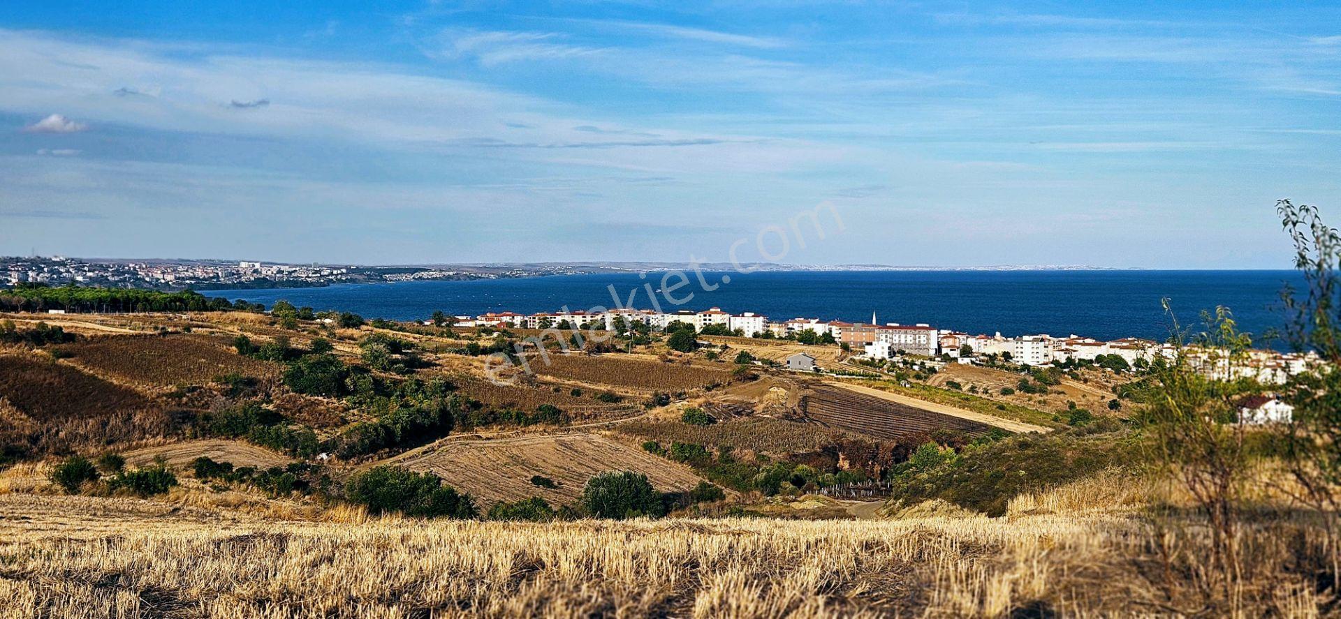 Tekirdağ Topağaç Mahallesinde Full Deniz Doğa Ve Şehir Manzaralı 1.150 M2 Villa İmarlı Yer - Görsel 7