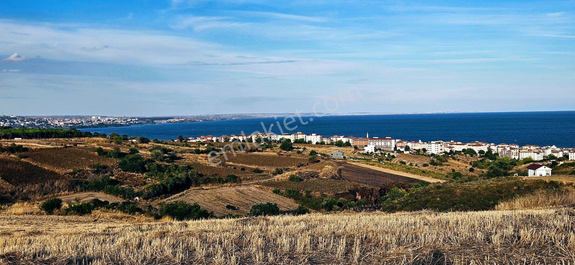 Tekirdağ Topağaç Mahallesinde Full Deniz Doğa Ve Şehir Manzaralı 1.150 M2 Villa İmarlı Yer - Görsel 13