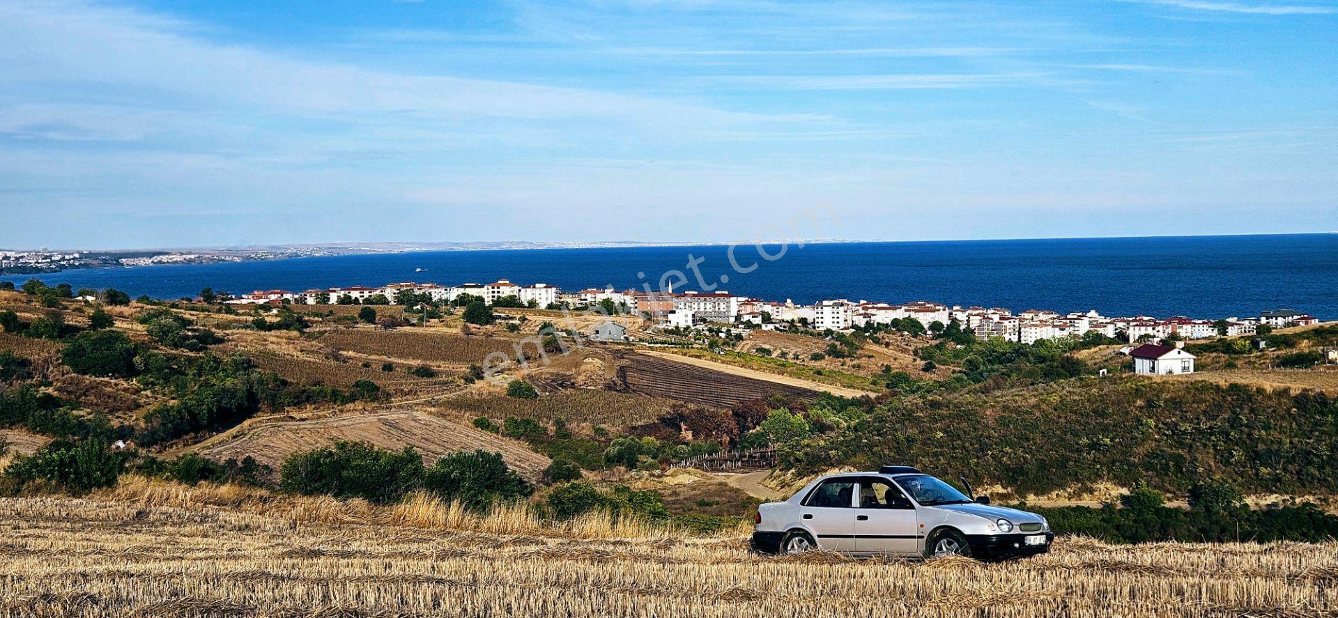 Tekirdağ Topağaç Mahallesinde Full Deniz Doğa Ve Şehir Manzaralı 1.150 M2 Villa İmarlı Yer - Görsel 26