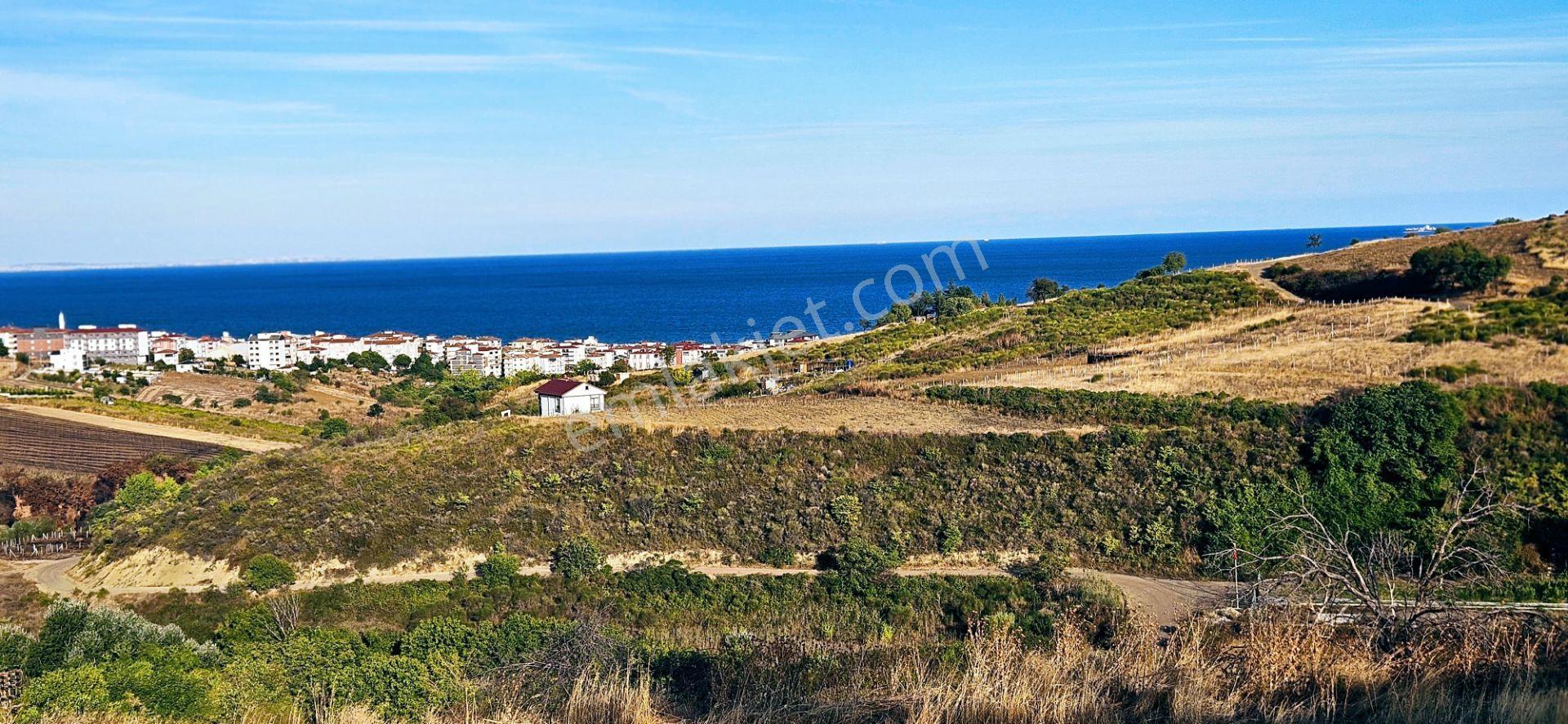Tekirdağ Topağaç Mahallesinde Full Deniz Doğa Ve Şehir Manzaralı 1.150 M2 Villa İmarlı Yer - Görsel 29