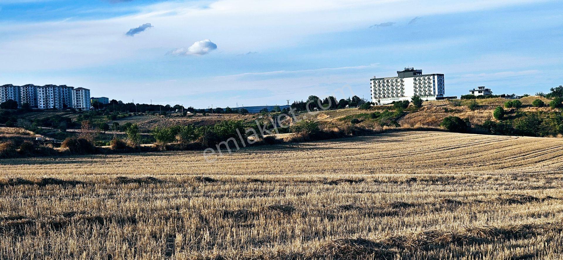 Tekirdağ Topağaç Mahallesinde Full Deniz Doğa Ve Şehir Manzaralı 1.150 M2 Villa İmarlı Yer - Görsel 9
