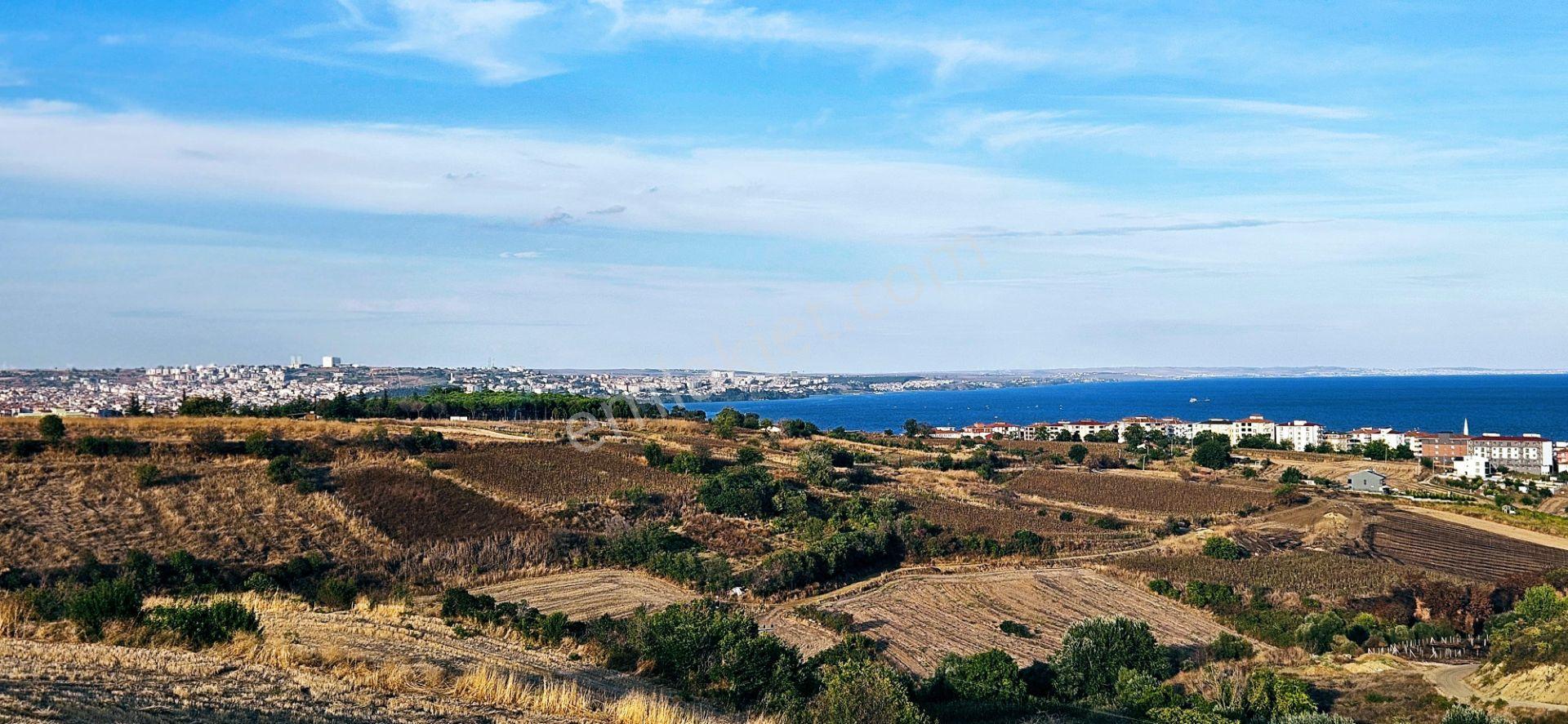 Tekirdağ Topağaç Mahallesinde Full Deniz Doğa Ve Şehir Manzaralı 1.150 M2 Villa İmarlı Yer - Görsel 15