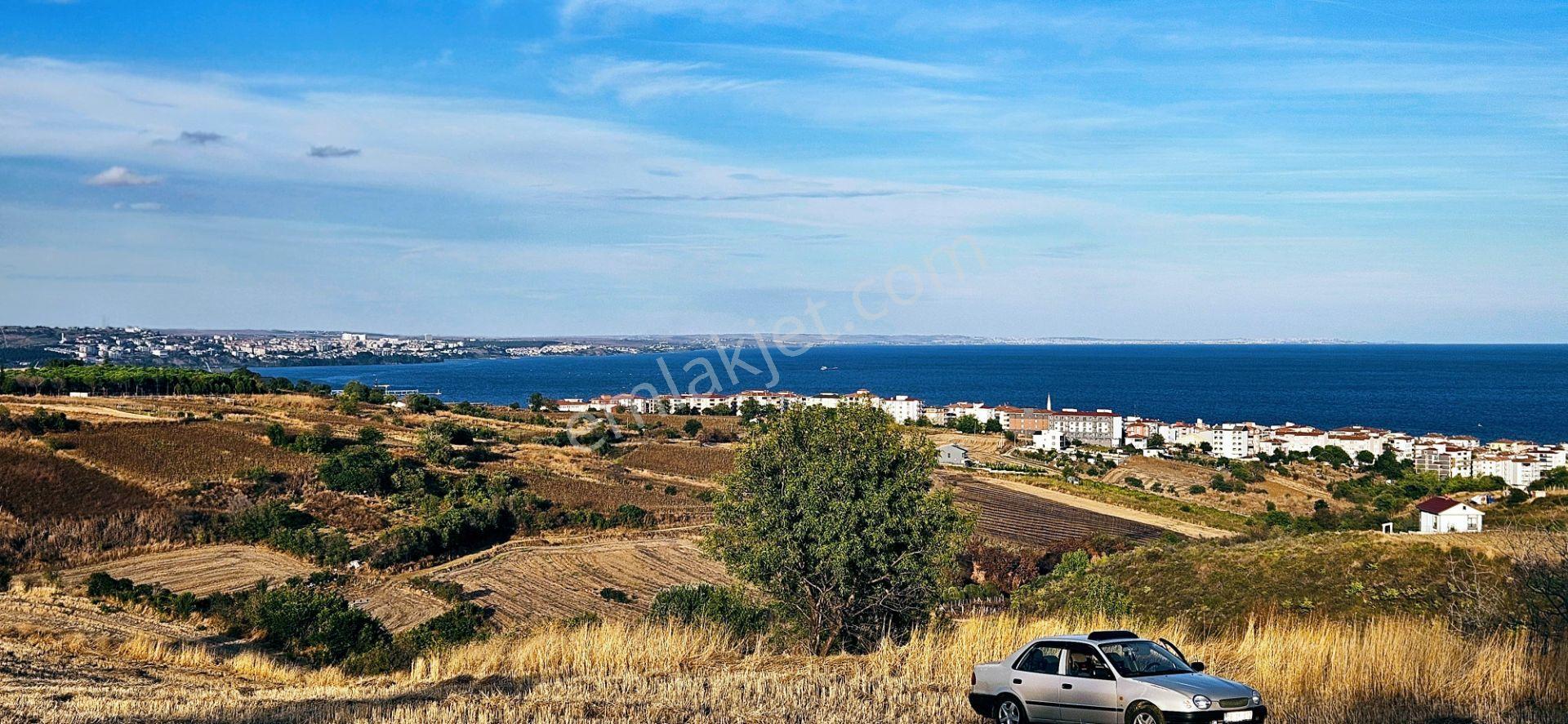 Tekirdağ Topağaç Mahallesinde Full Deniz Doğa Ve Şehir Manzaralı 1.150 M2 Villa İmarlı Yer - Görsel 4