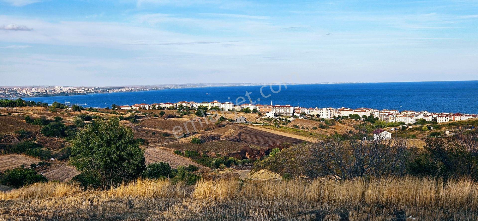Tekirdağ Topağaç Mahallesinde Full Deniz Doğa Ve Şehir Manzaralı 1.150 M2 Villa İmarlı Yer - Görsel 17