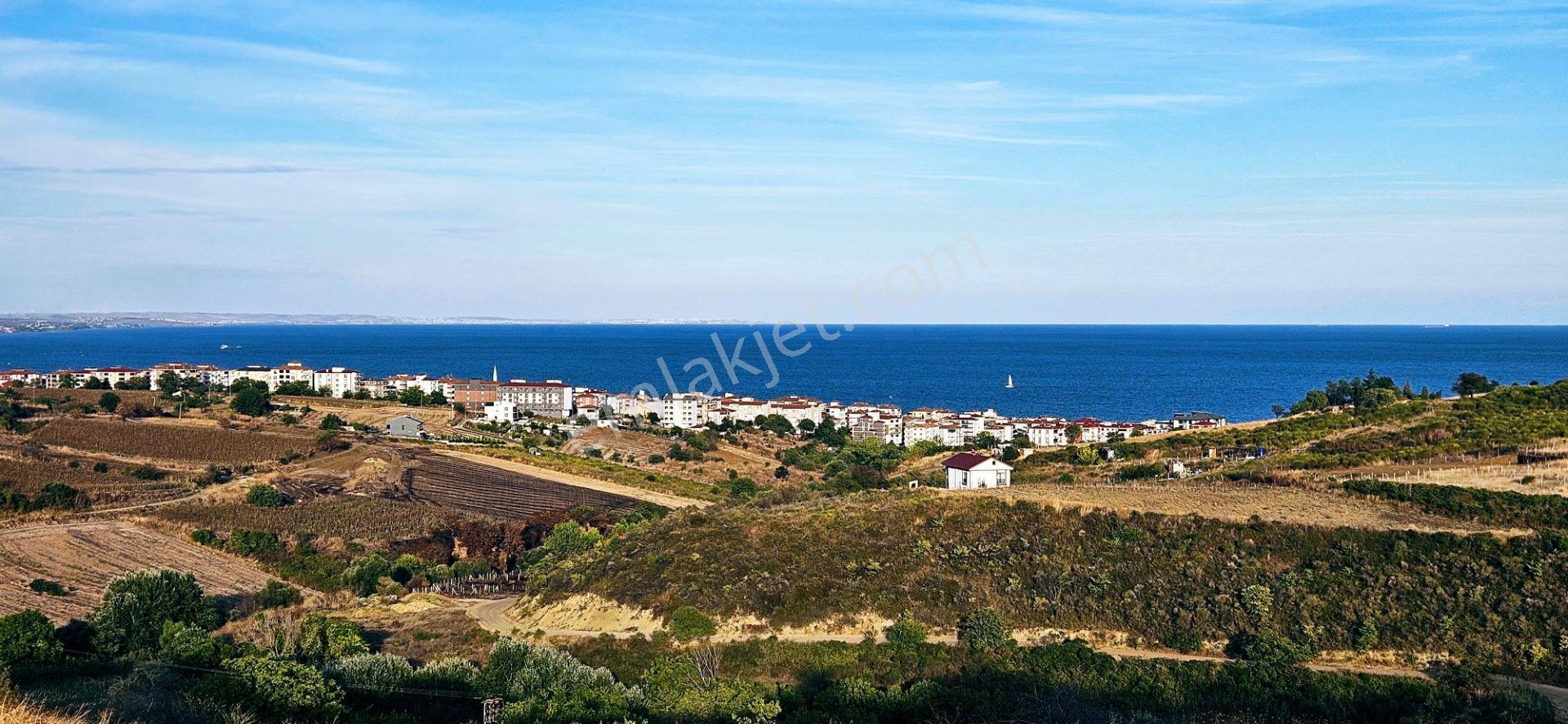 Tekirdağ Topağaç Mahallesinde Full Deniz Doğa Ve Şehir Manzaralı 1.150 M2 Villa İmarlı Yer - Görsel 16
