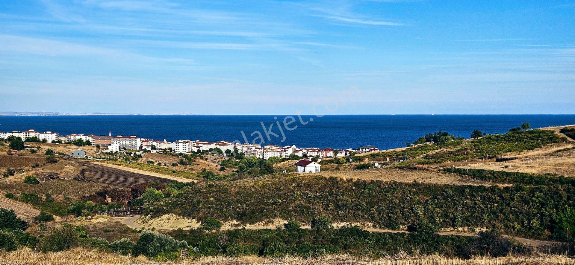 Tekirdağ Topağaç Mahallesinde Full Deniz Doğa Ve Şehir Manzaralı 1.150 M2 Villa İmarlı Yer - Görsel 25