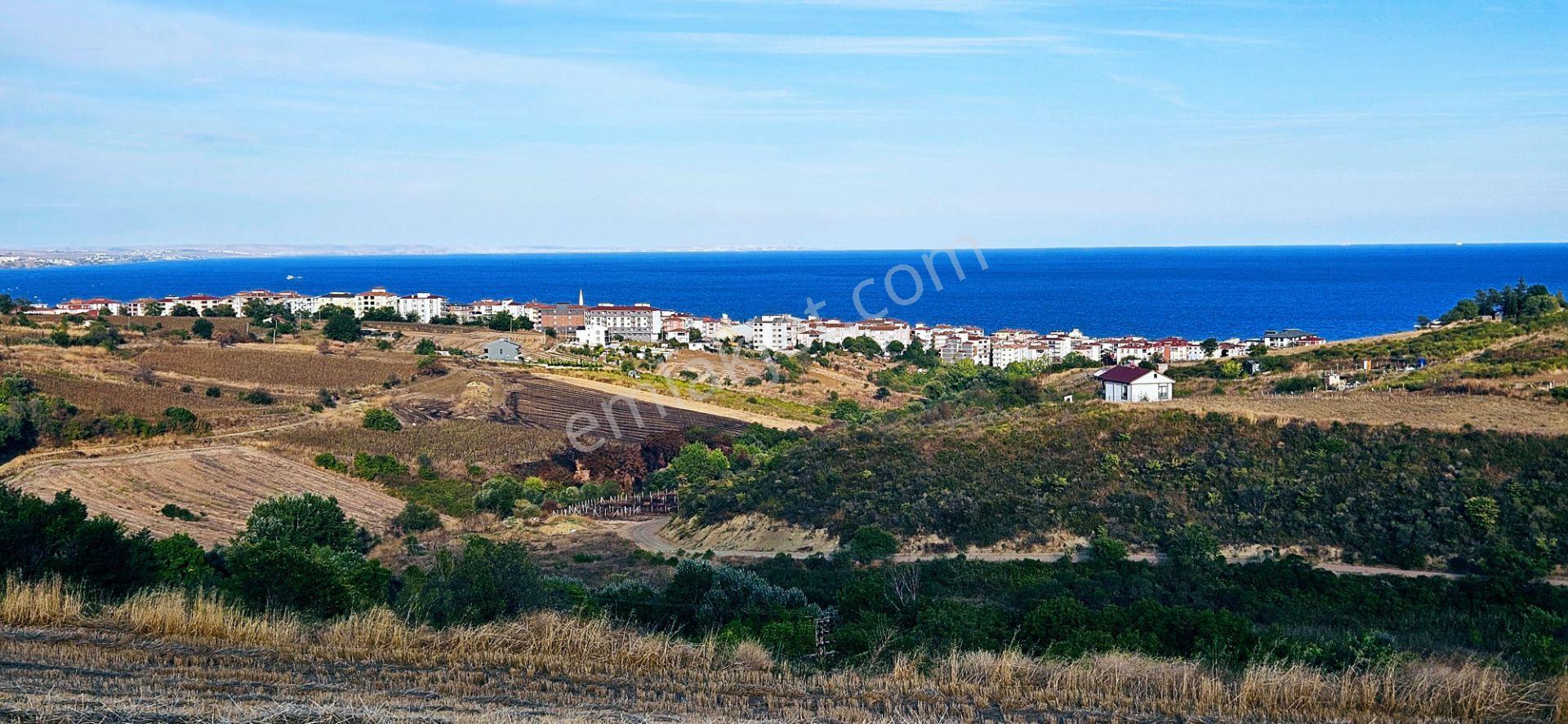 Tekirdağ Topağaç Mahallesinde Full Deniz Doğa Ve Şehir Manzaralı 1.150 M2 Villa İmarlı Yer - Görsel 33