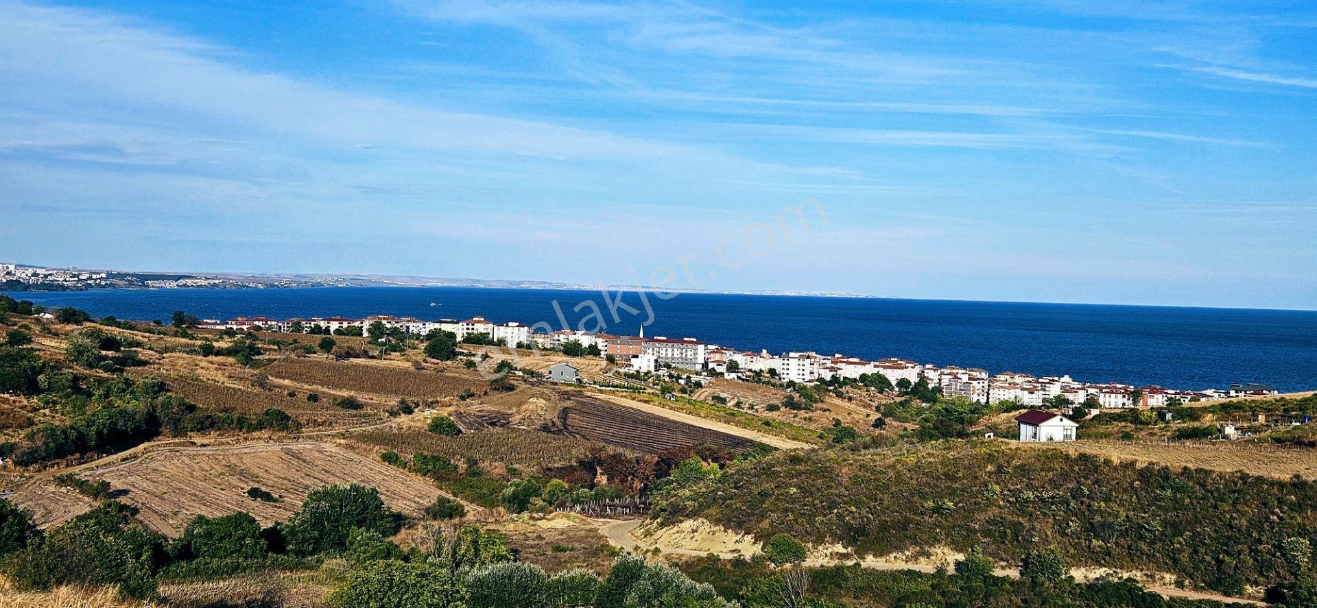Tekirdağ Topağaç Mahallesinde Full Deniz Doğa Ve Şehir Manzaralı 1.150 M2 Villa İmarlı Yer - Görsel 27