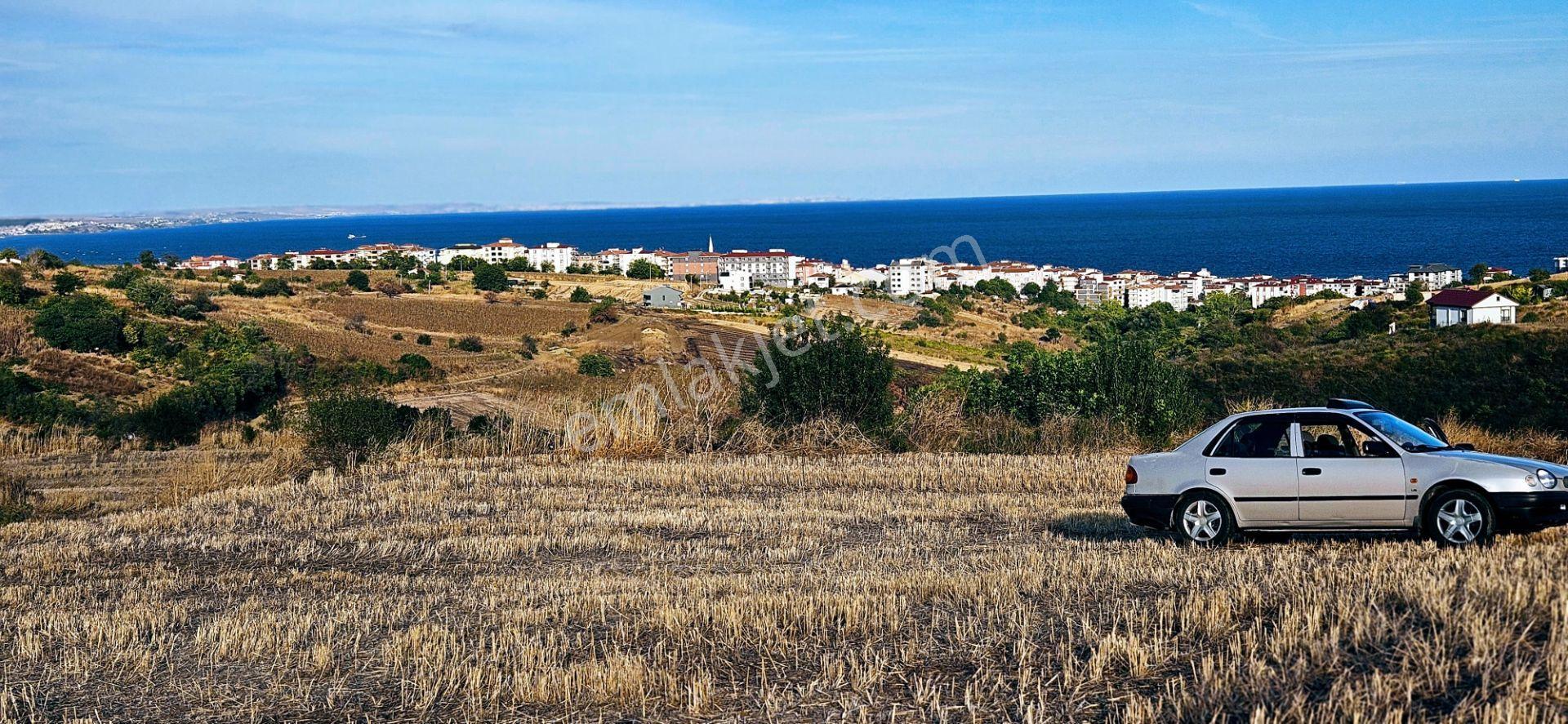Tekirdağ Topağaç Mahallesinde Full Deniz Doğa Ve Şehir Manzaralı 1.150 M2 Villa İmarlı Yer - Görsel 32
