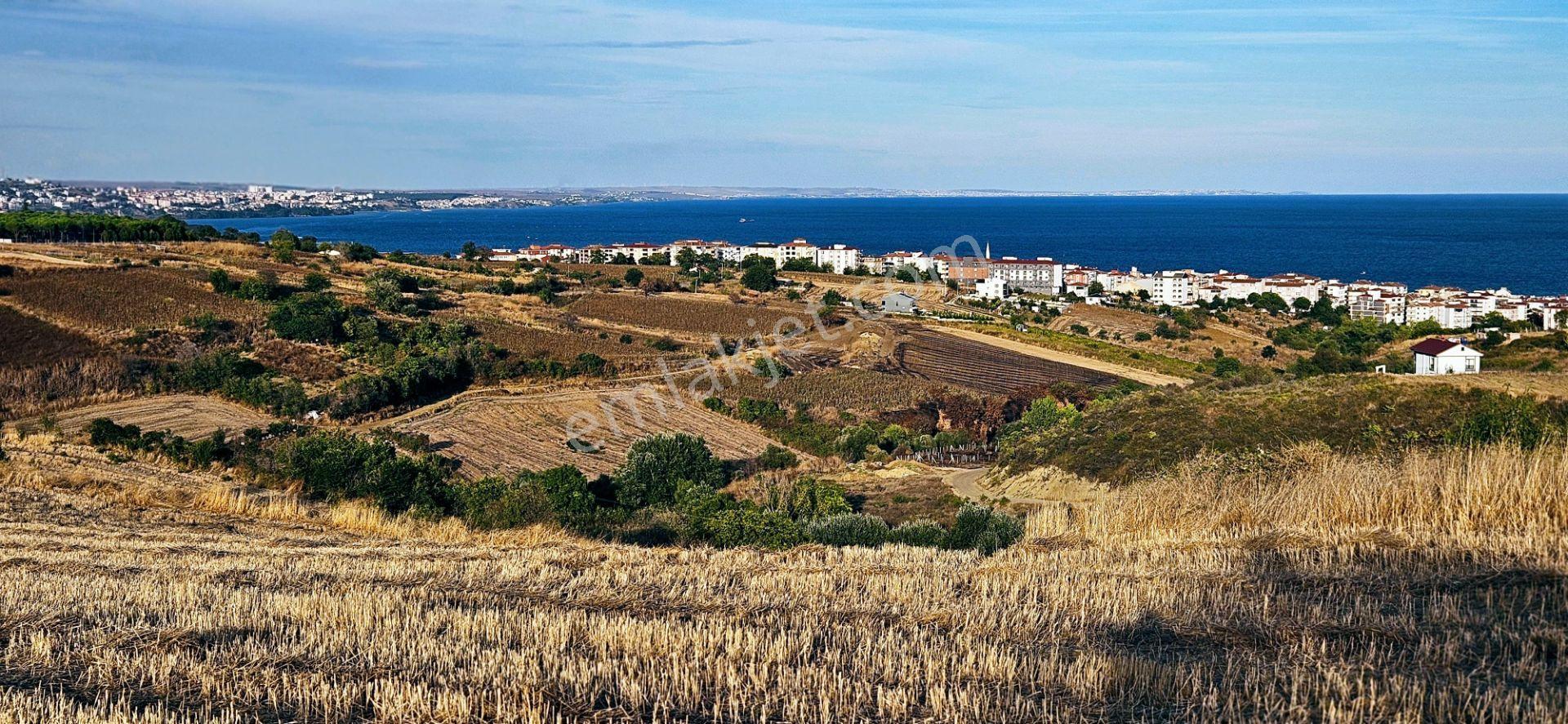 Tekirdağ Topağaç Mahallesinde Full Deniz Doğa Ve Şehir Manzaralı 1.150 M2 Villa İmarlı Yer - Görsel 19