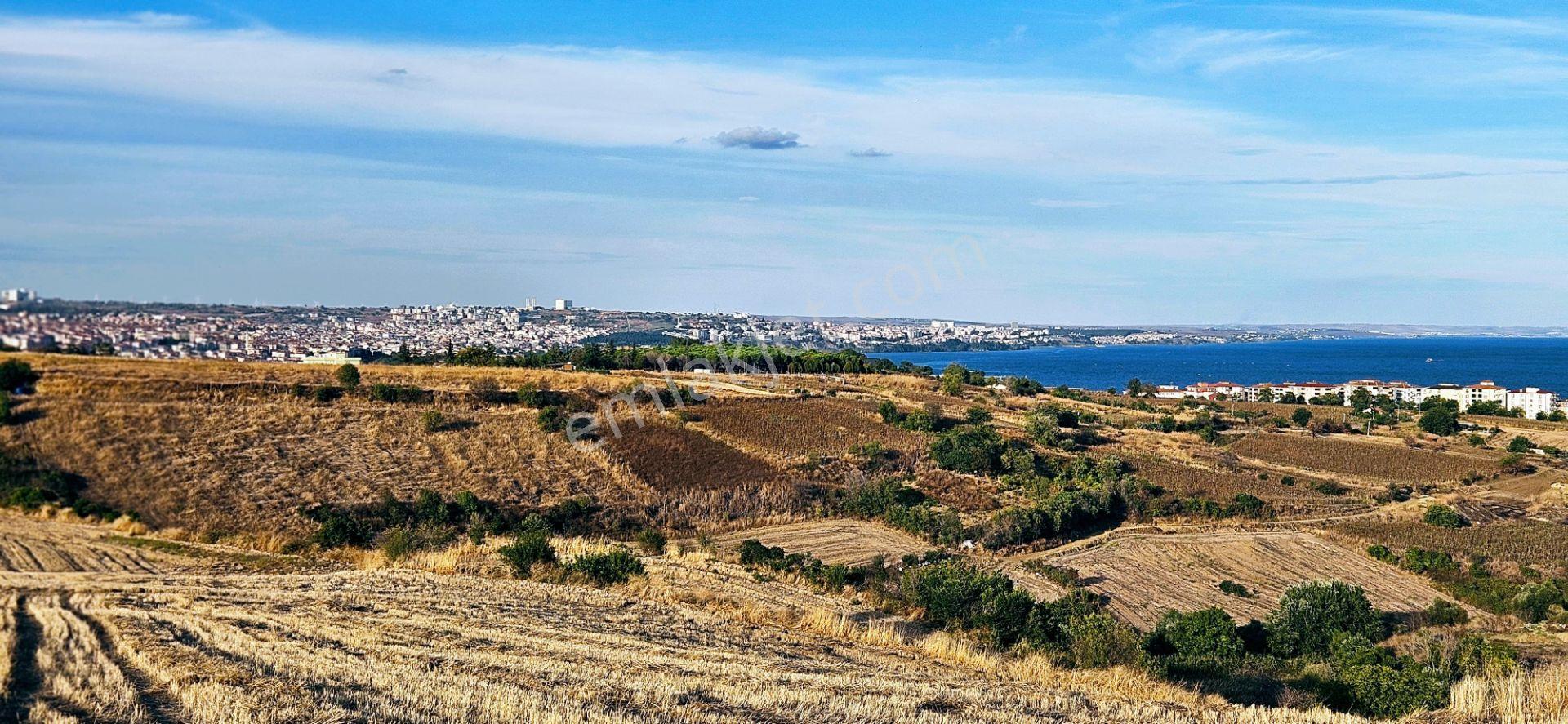 Tekirdağ Topağaç Mahallesinde Full Deniz Doğa Ve Şehir Manzaralı 1.150 M2 Villa İmarlı Yer - Görsel 35