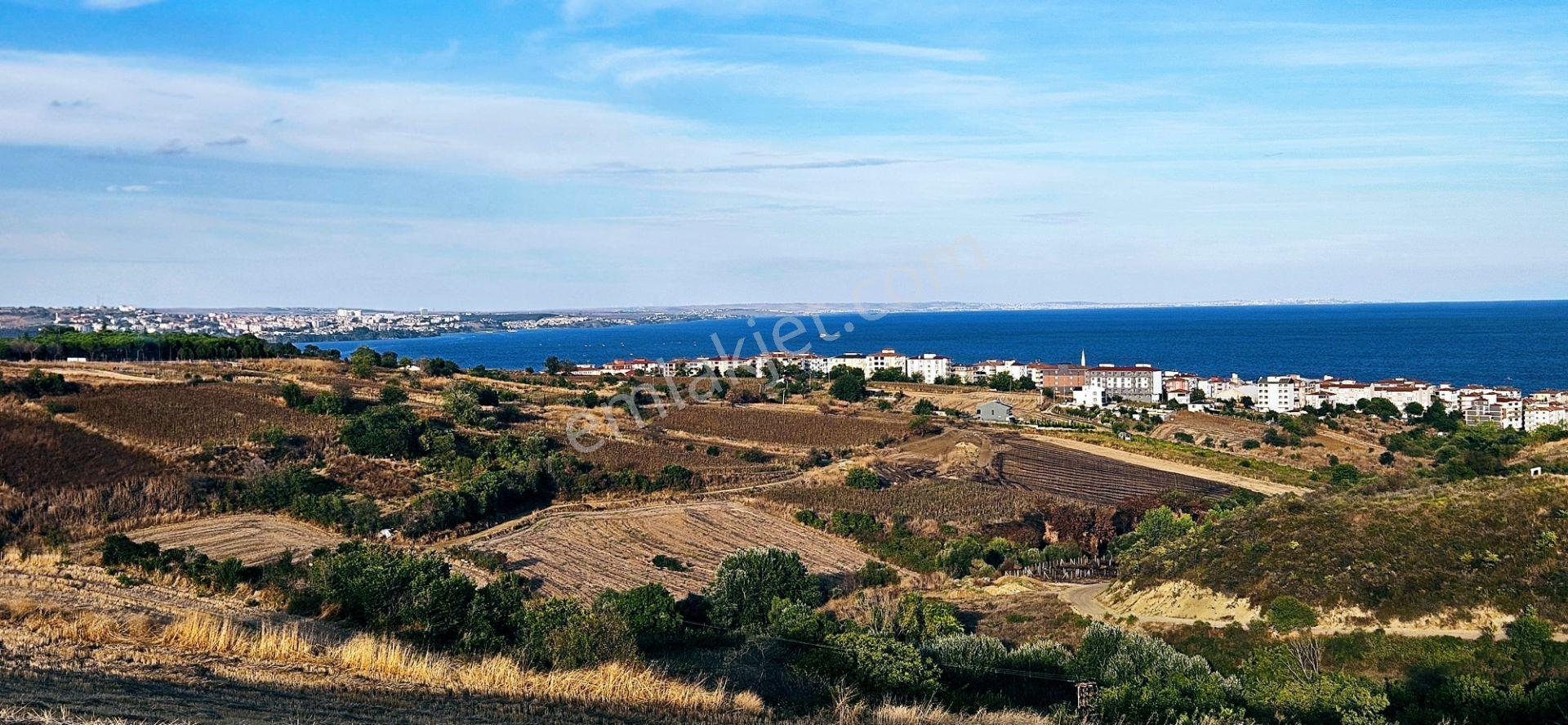 Tekirdağ Topağaç Mahallesinde Full Deniz Doğa Ve Şehir Manzaralı 1.150 M2 Villa İmarlı Yer - Görsel 2