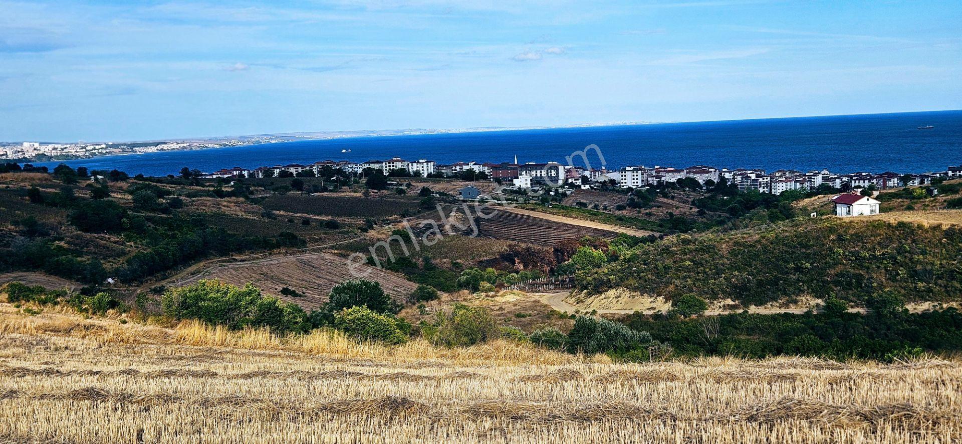 Tekirdağ Topağaç Mahallesinde Full Deniz Doğa Ve Şehir Manzaralı 1.150 M2 Villa İmarlı Yer - Görsel 3