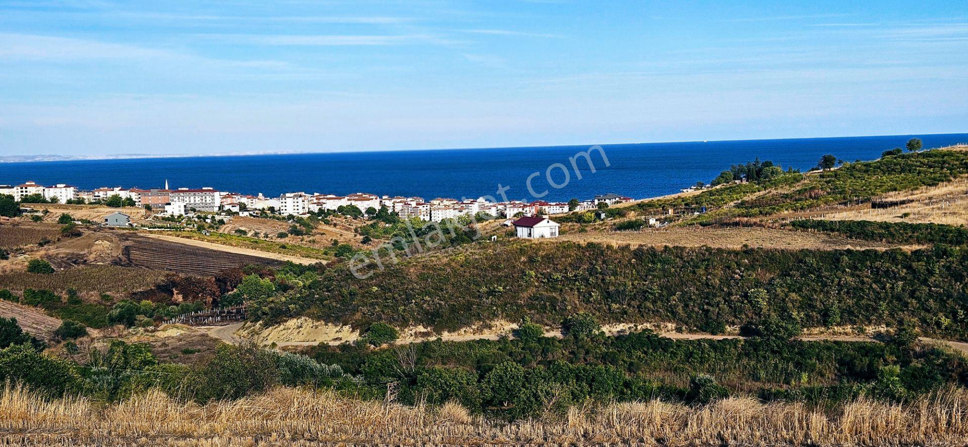 Tekirdağ Topağaç Mahallesinde Full Deniz Doğa Ve Şehir Manzaralı 1.150 M2 Villa İmarlı Yer - Görsel 20