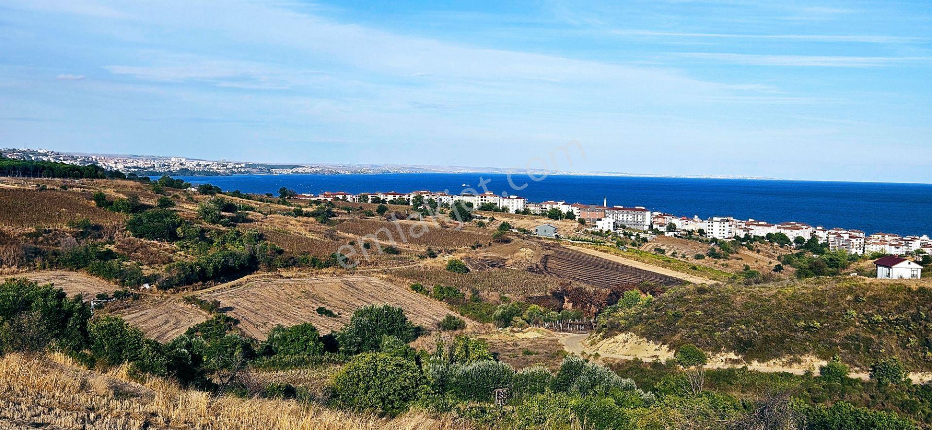 Tekirdağ Topağaç Mahallesinde Full Deniz Doğa Ve Şehir Manzaralı 1.150 M2 Villa İmarlı Yer - Görsel 30