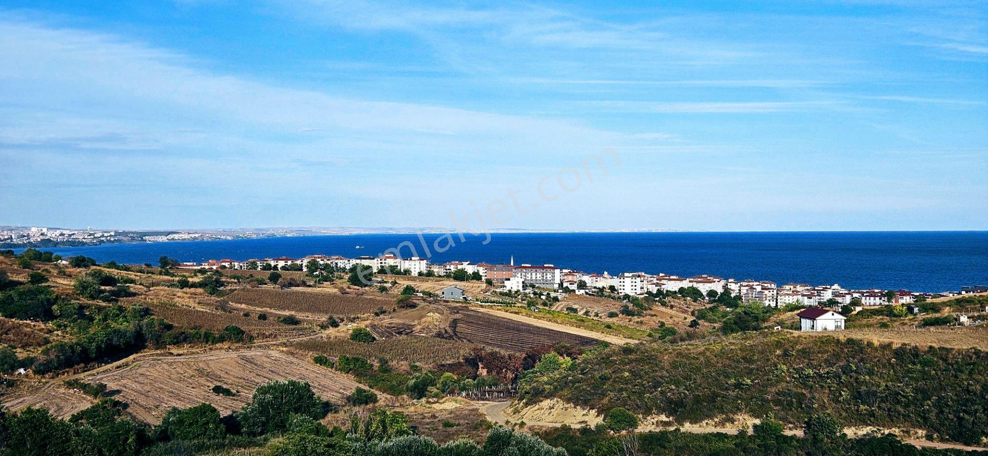 Tekirdağ Topağaç Mahallesinde Full Deniz Doğa Ve Şehir Manzaralı 1.150 M2 Villa İmarlı Yer - Görsel 31