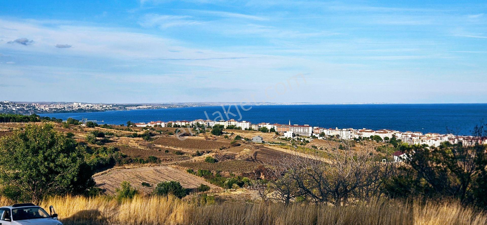 Tekirdağ Topağaç Mahallesinde Full Deniz Doğa Ve Şehir Manzaralı 1.150 M2 Villa İmarlı Yer - Görsel 12