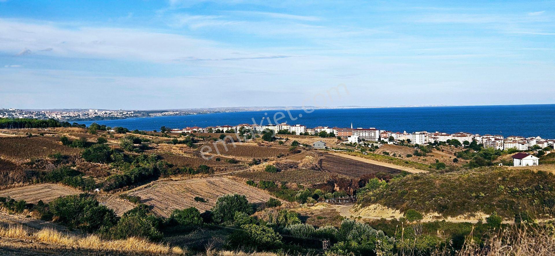 Tekirdağ Topağaç Mahallesinde Full Deniz Doğa Ve Şehir Manzaralı 1.150 M2 Villa İmarlı Yer - Görsel 10