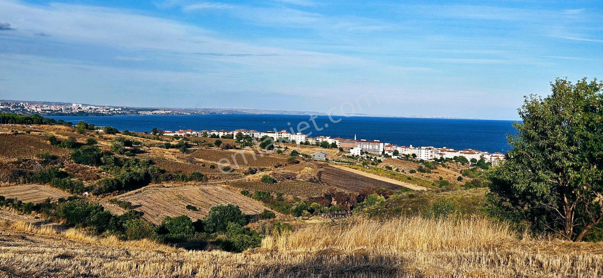 Tekirdağ Topağaç Mahallesinde Full Deniz Doğa Ve Şehir Manzaralı 1.150 M2 Villa İmarlı Yer - Görsel 5