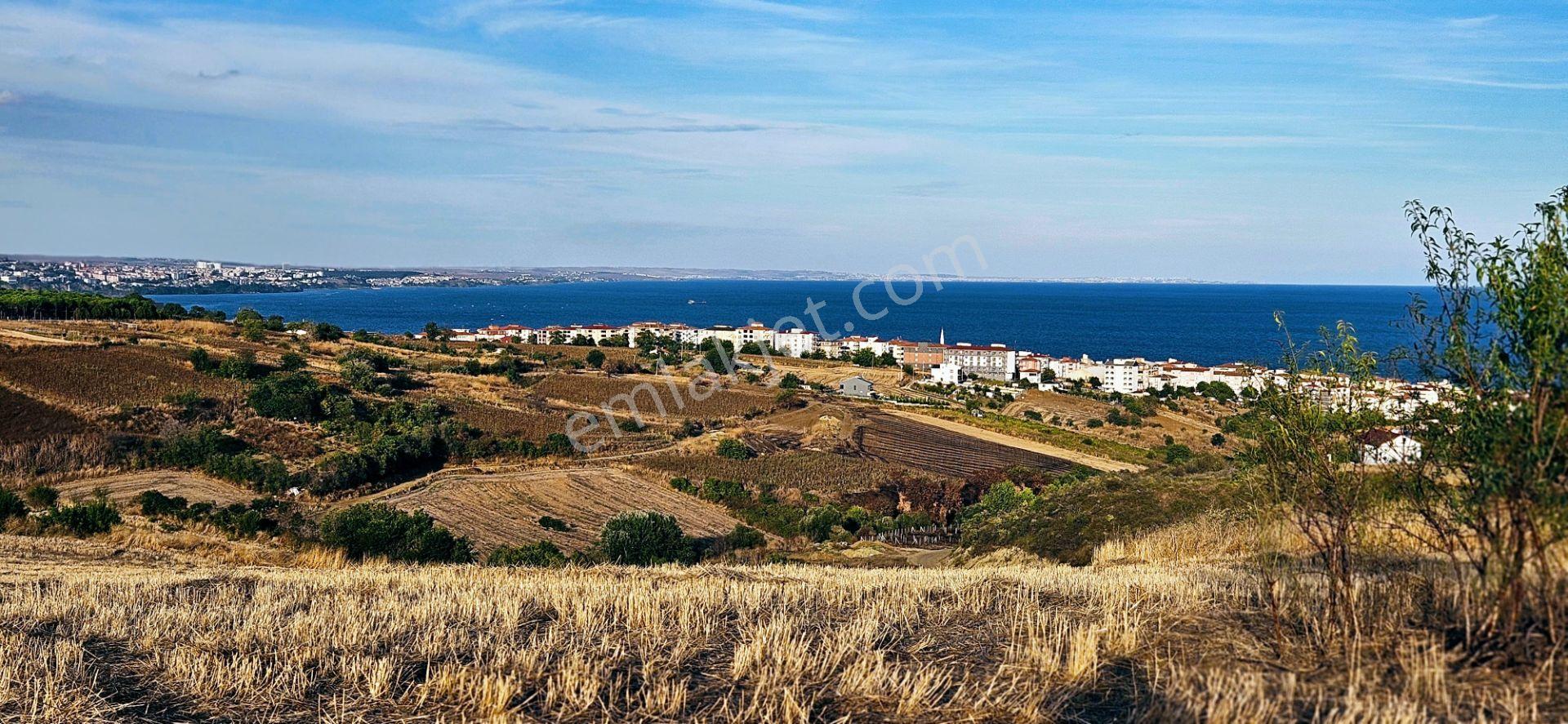 Tekirdağ Topağaç Mahallesinde Full Deniz Doğa Ve Şehir Manzaralı 1.150 M2 Villa İmarlı Yer - Görsel 14