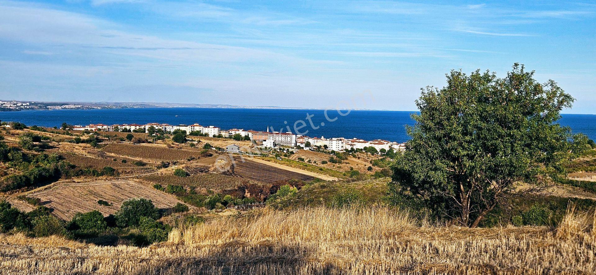 Tekirdağ Topağaç Mahallesinde Full Deniz Doğa Ve Şehir Manzaralı 1.150 M2 Villa İmarlı Yer - Görsel 28