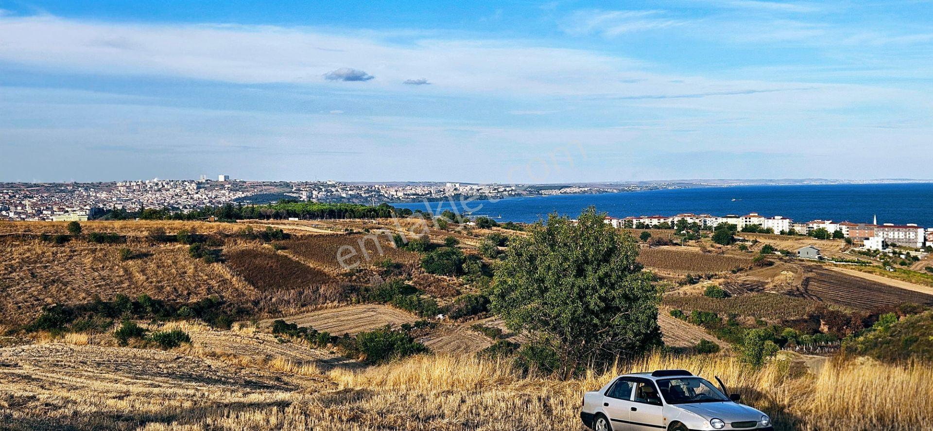 Tekirdağ Topağaç Mahallesinde Full Deniz Doğa Ve Şehir Manzaralı 1.150 M2 Villa İmarlı Yer - Görsel 21
