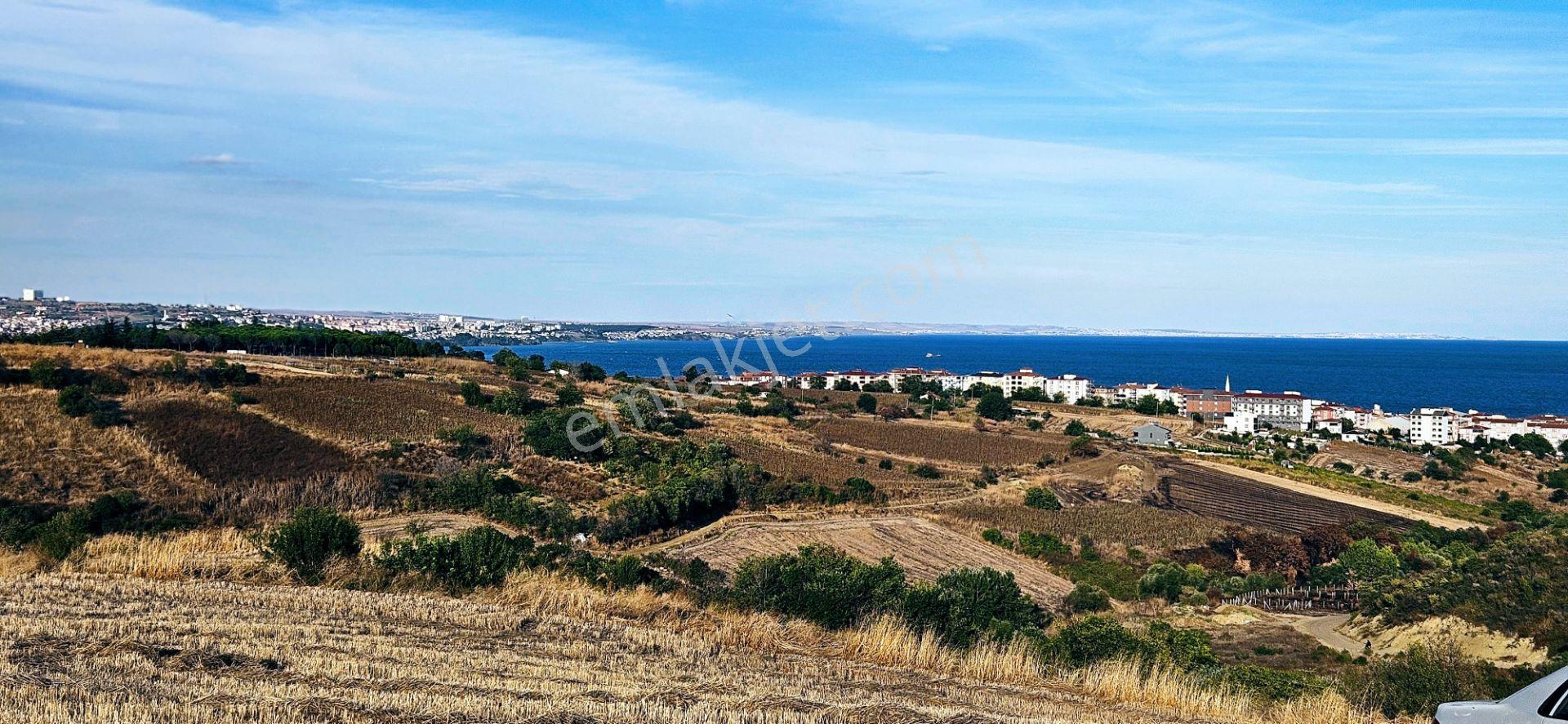 Tekirdağ Topağaç Mahallesinde Full Deniz Doğa Ve Şehir Manzaralı 1.150 M2 Villa İmarlı Yer - Görsel 24