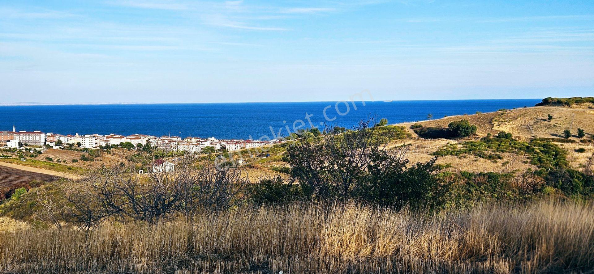 Tekirdağ Topağaç Mahallesinde Full Deniz Doğa Ve Şehir Manzaralı 1.150 M2 Villa İmarlı Yer - Görsel 11
