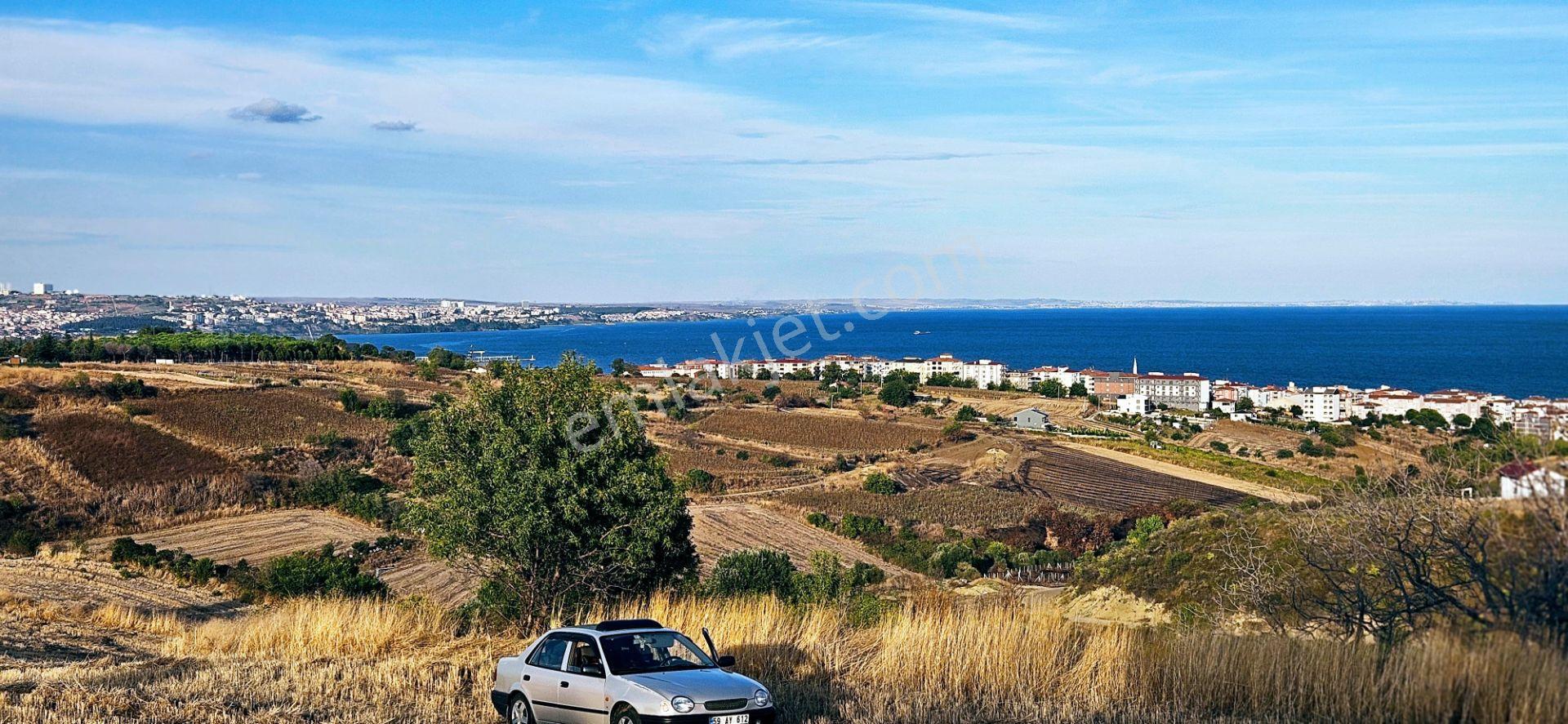 Tekirdağ Topağaç Mahallesinde Full Deniz Doğa Ve Şehir Manzaralı 1.150 M2 Villa İmarlı Yer - Görsel 8