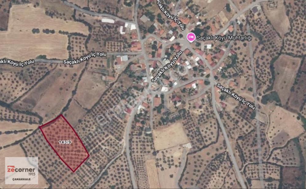 Çanakkale Bayramiç Saçaklı Köyünde Satılık 7990 M2 Zeytinlik - Görsel 4