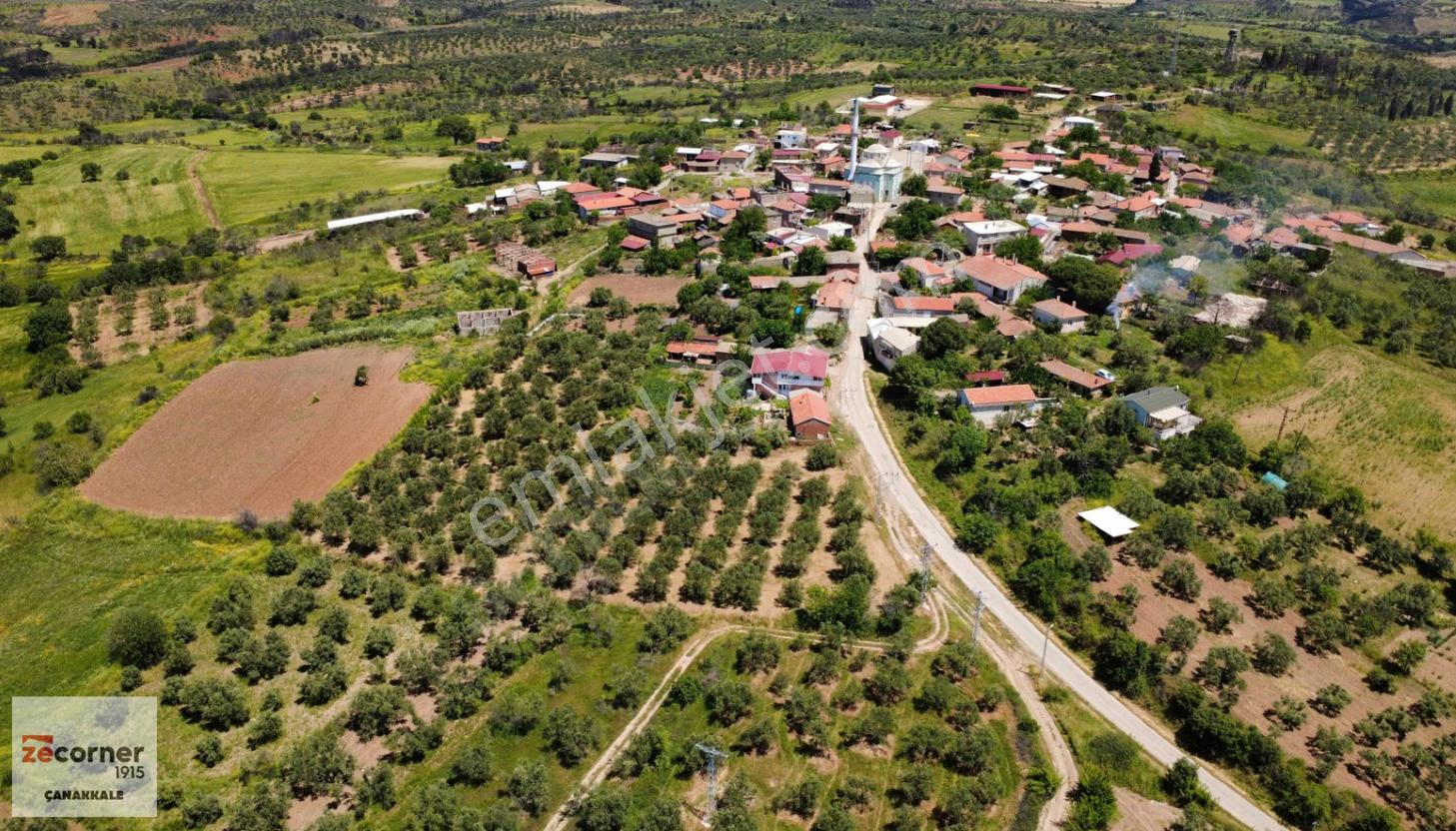 Çanakkale Bayramiç Saçaklı Köyünde Satılık 7990 M2 Zeytinlik - Görsel 2