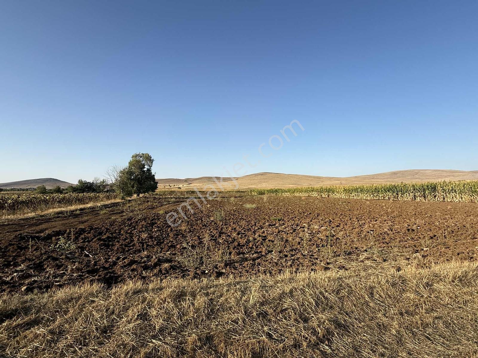 Net Emlaktan Müstakil Toplam 8.550 M2 Tarla - Görsel 23